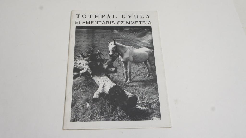 Tóthpál Gyula: Elementáris szimmetria - kiállítási prospektus
